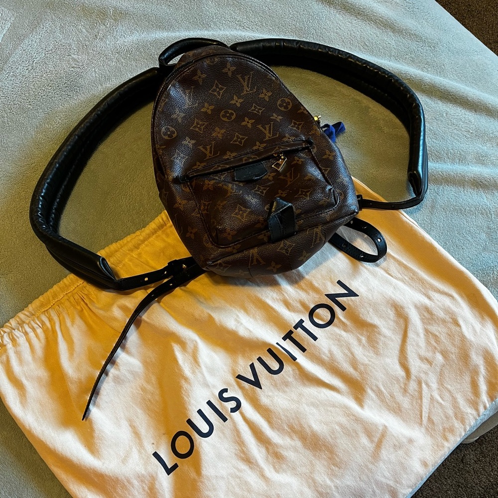 Louis Vuitton Back Pack